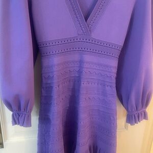 Elegant Purple V-Neck dress by Sandro